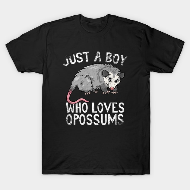 Just A Boy Who Loves Opossums T-Shirt by simonStufios